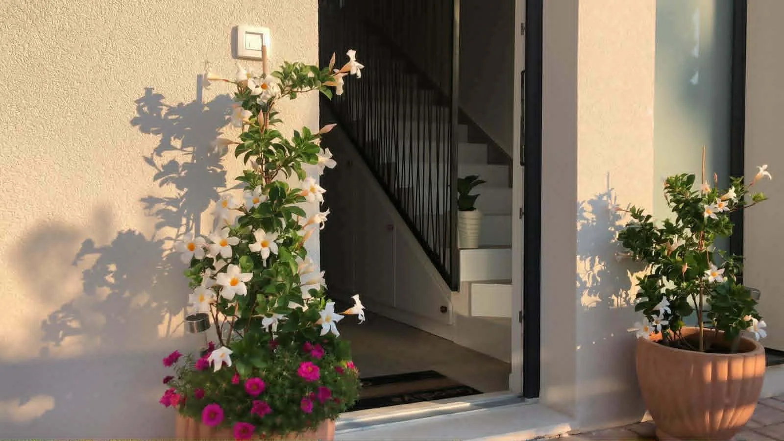 Apartman Ana — Ulaz s cvijećem